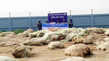 মেঘনা নদীতে নিষিদ্ধ জাল জব্দ