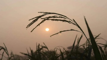 জলবায়ু পরিবর্তনে উত্তরাঞ্চলে অস্বাভাবিক আবহাওয়া