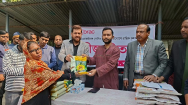 বরগুনায় কৃষকের মধ্যে ধান ও সূর্যমুখী বীজ বিতরণ