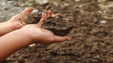 দেশে মাটিতে সিসা ৭০ হাজার পিপিএম, মানদণ্ডের ৩৫০ গুণ দেশে মাটিতে সিসা ৭০ হাজার পিপিএম, মানদণ্ডের ৩৫০ গুণ
