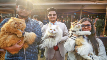 ঢাবিতে ‘পেট কার্নিভালে’ প্রাণিপ্রেমীদের মিলনমেলা ঢাবিতে ‘পেট কার্নিভালে’ প্রাণিপ্রেমীদের মিলনমেলা