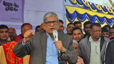 শেখ হাসিনা পালিয়ে আমাদের বিপদে ফেলে গেছেন: মির্জা ফখরুল